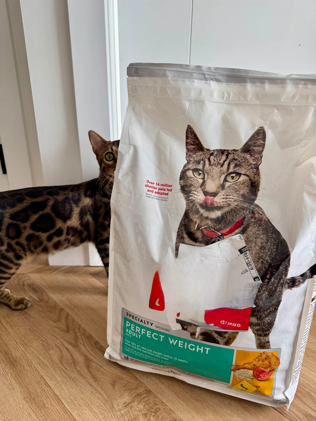 Hill’s Science Diet Perfect Weight Dry Cat Food