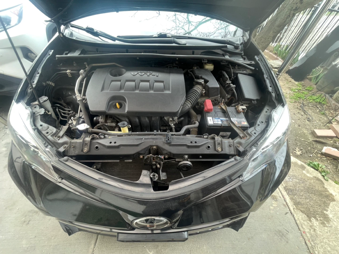 Motor