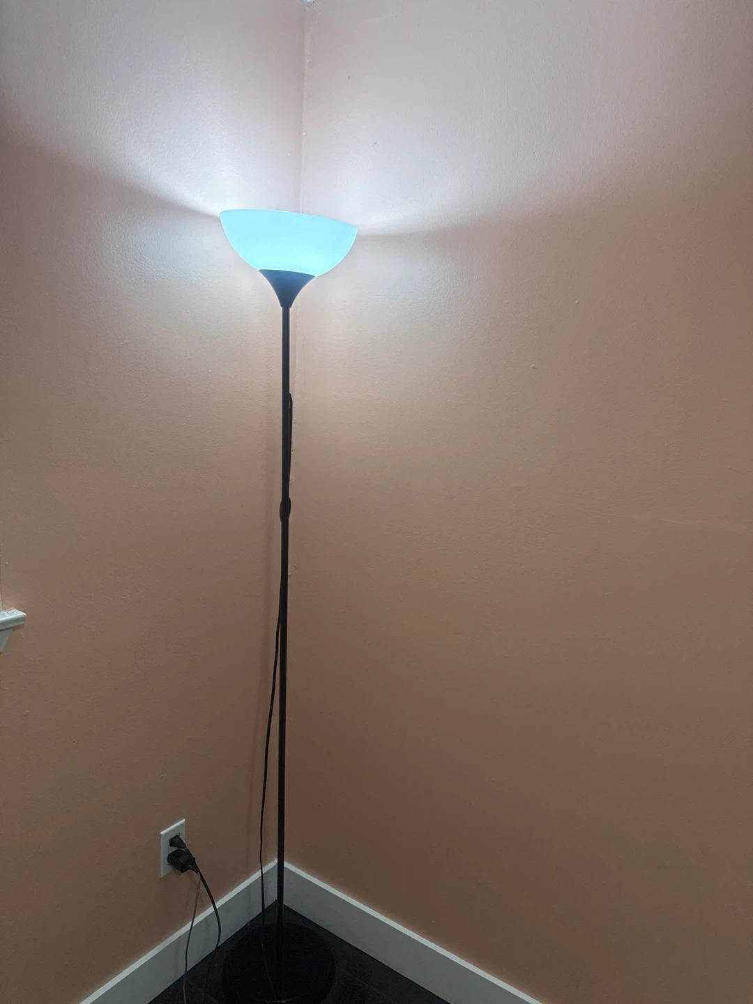 Black Floor Lamp
