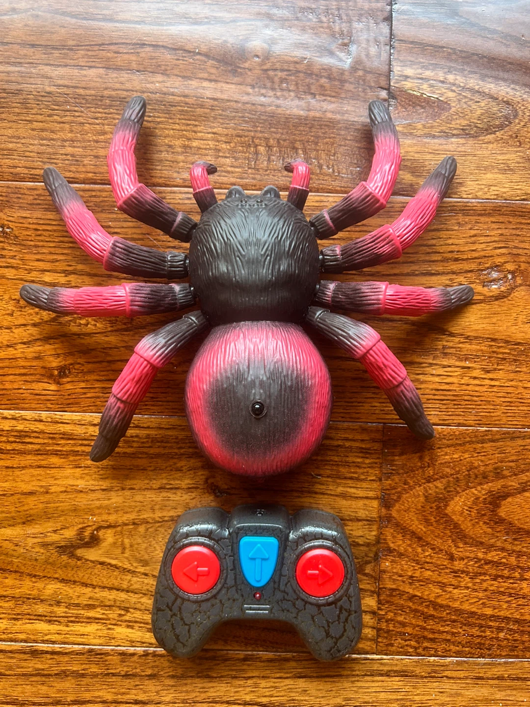 Remote Control Spider Toy - fully operational - photo 4