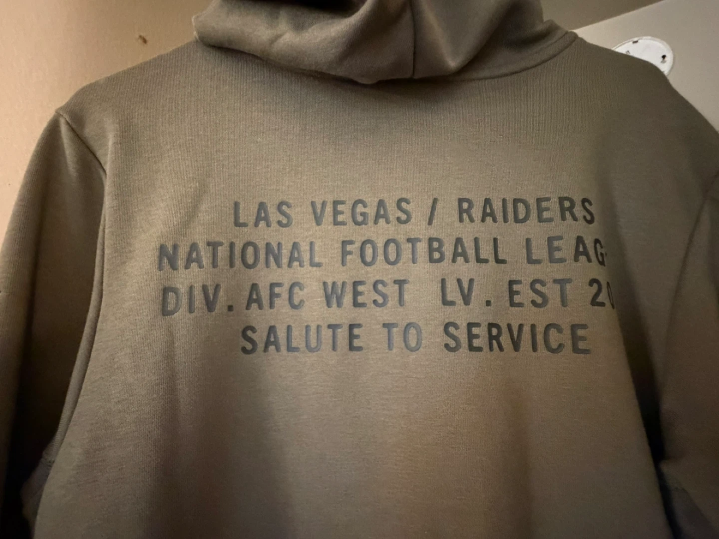 Nike Las Vegas Raiders Salute to Service Hoodie - photo 5