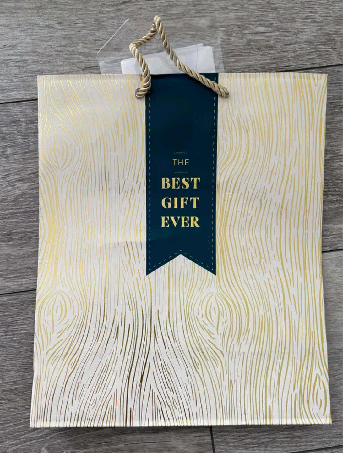 Gift Bag with "The Best Gift Ever" Print