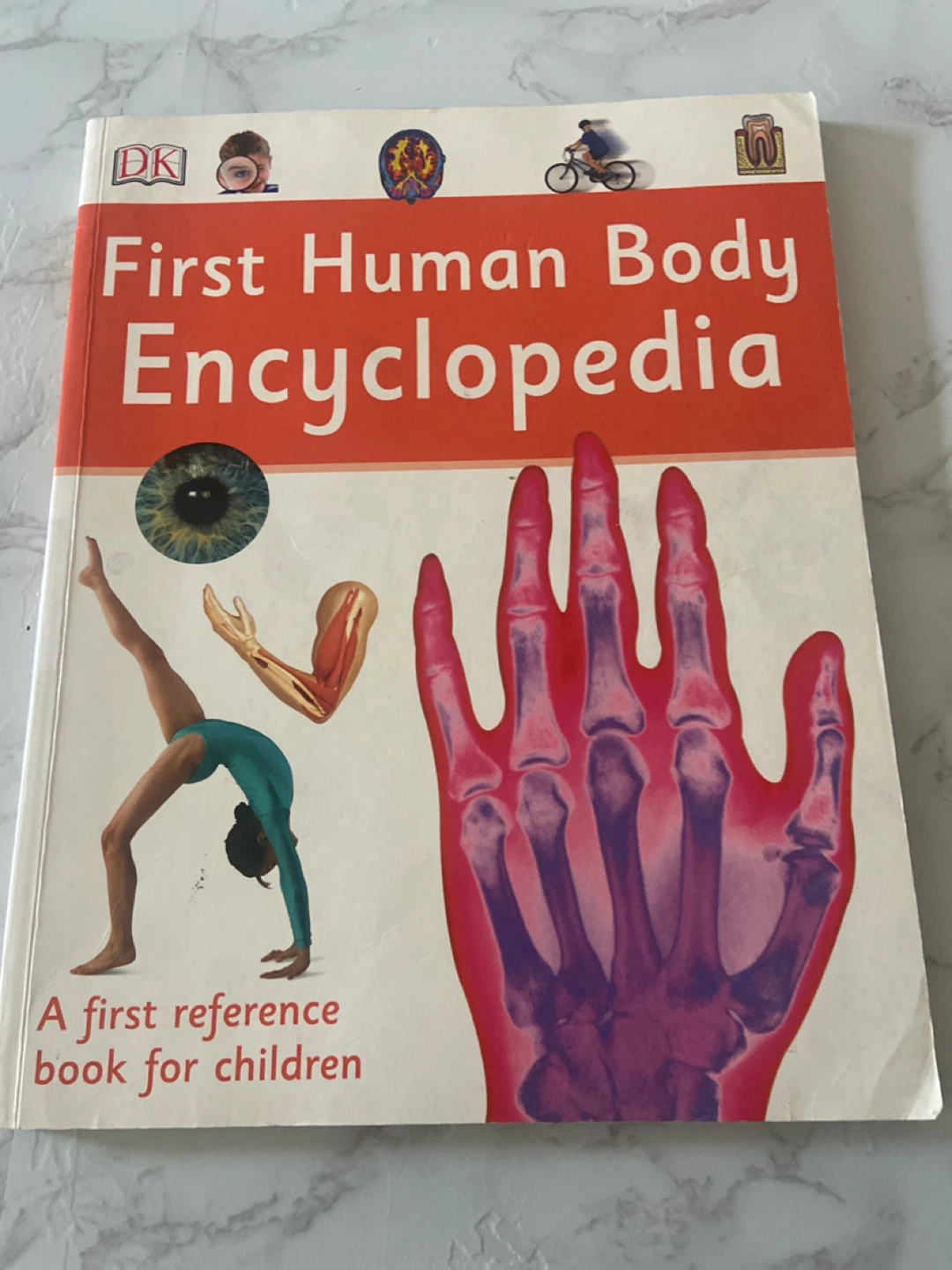 DK First Human Body Encyclopedia Children's Book