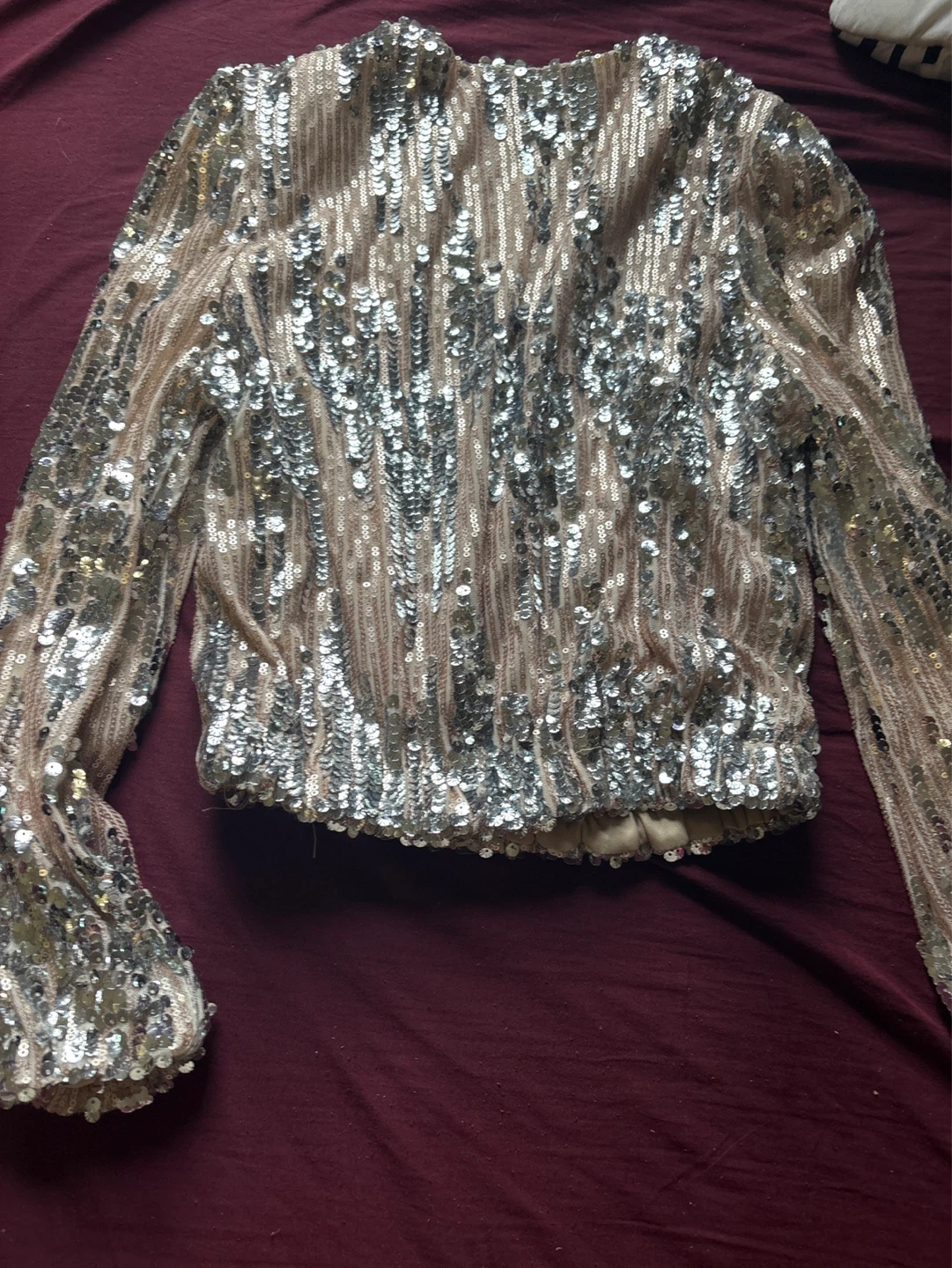 Sparkly Sequined Long Sleeve Top - photo 3