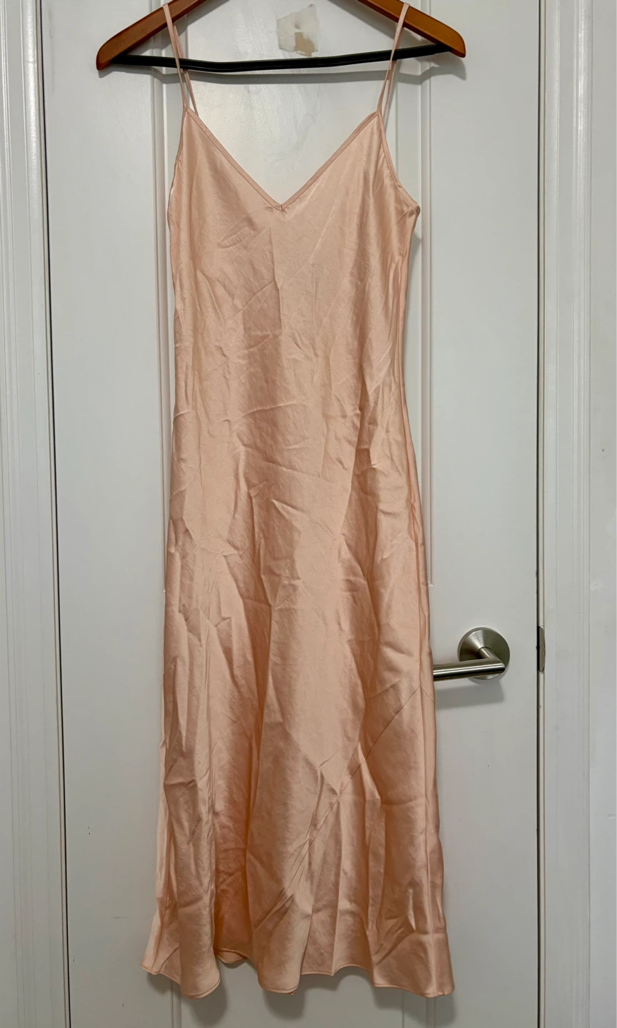 Brand New Wilfred Slip Dress