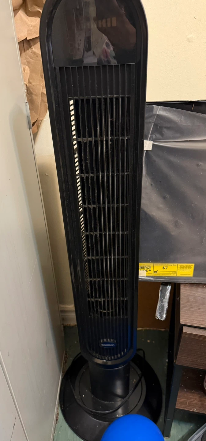 Black fan