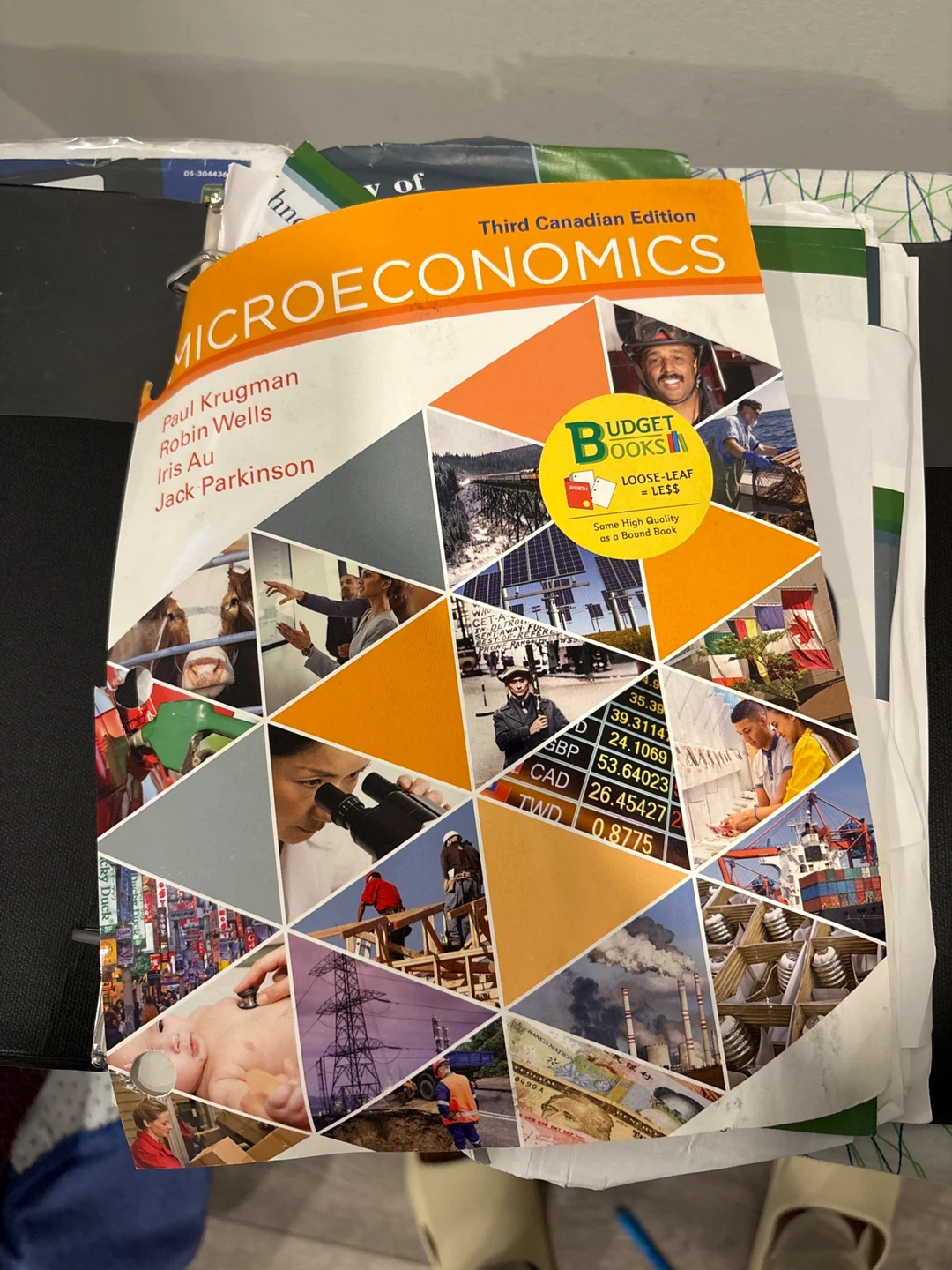 Microeconomics Third Canadian Edition Textbook - photo 2