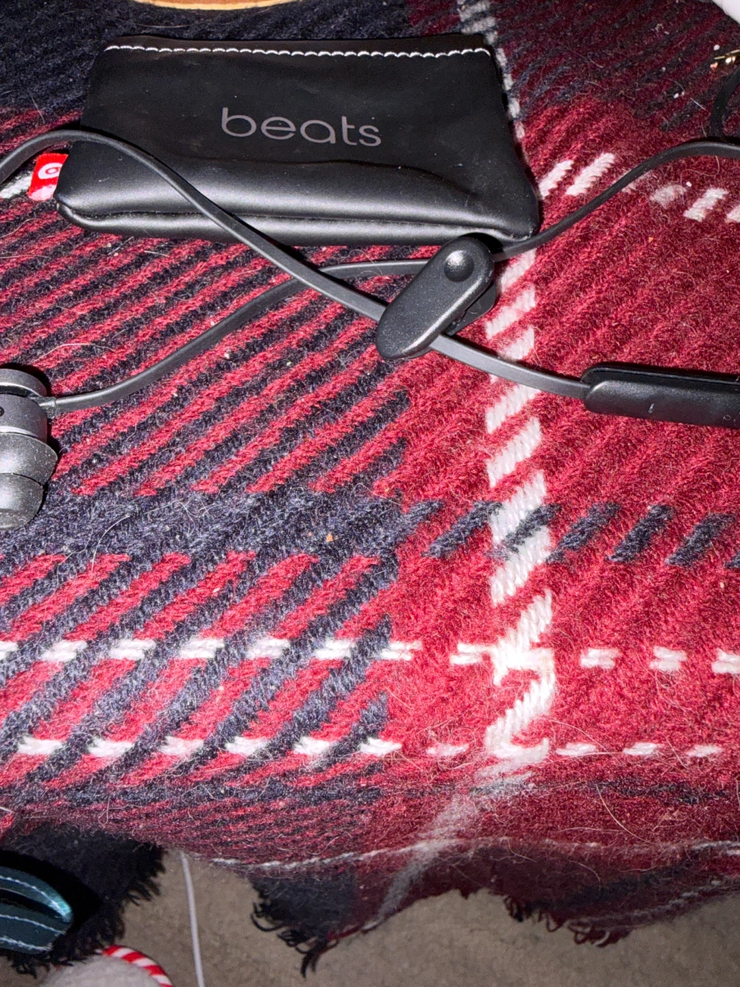 Beats by Dre Earbuds with Case - photo 5