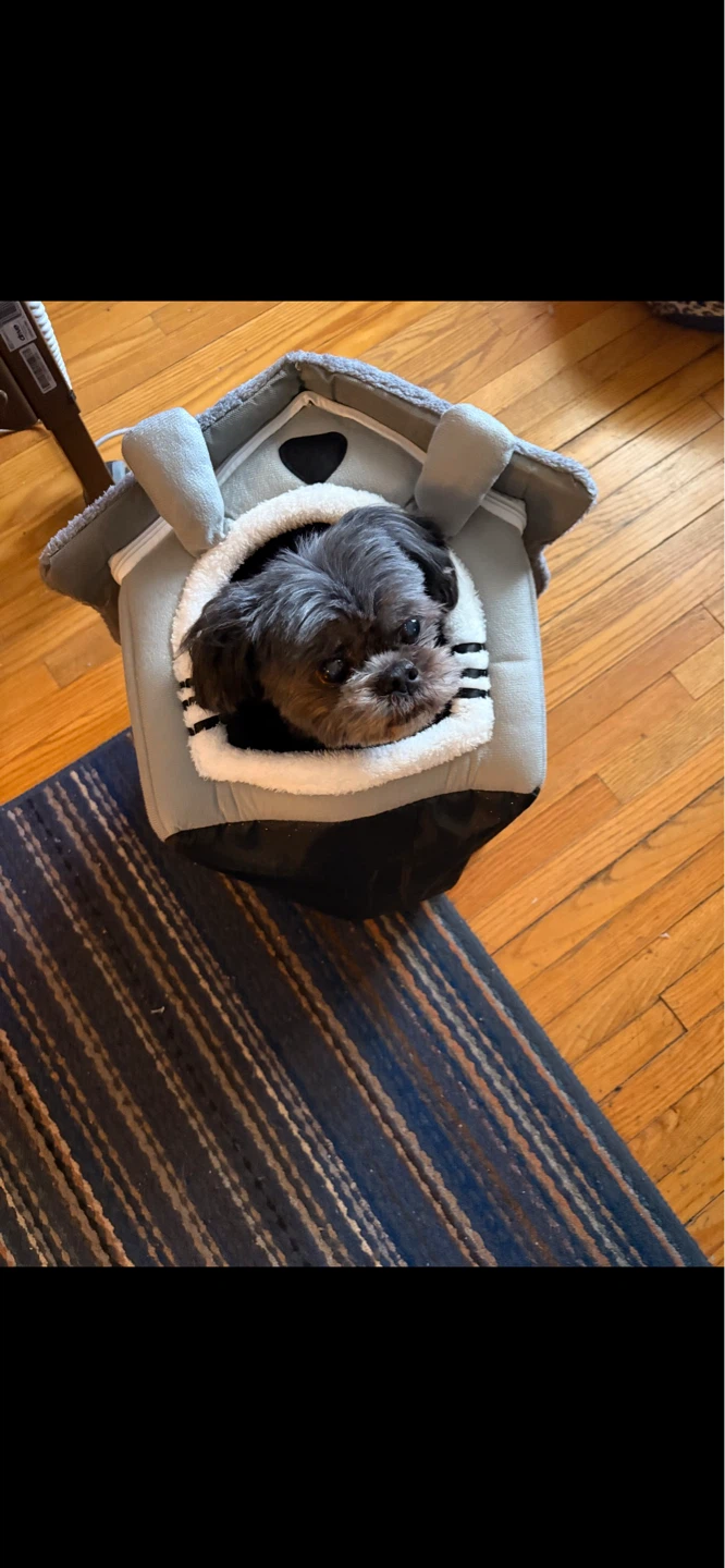 Soft Pet House Bed - Grey - photo 5