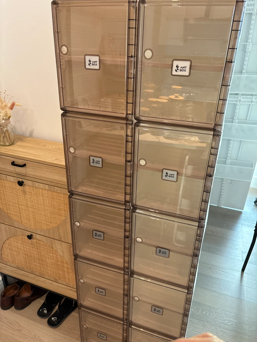 ANT BOX Stackable Shoe Storage Boxes (Set of 10) - photo 2