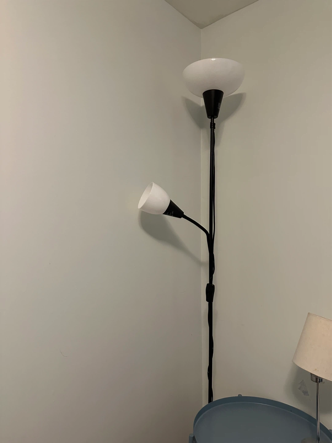Floor lamp with reading light