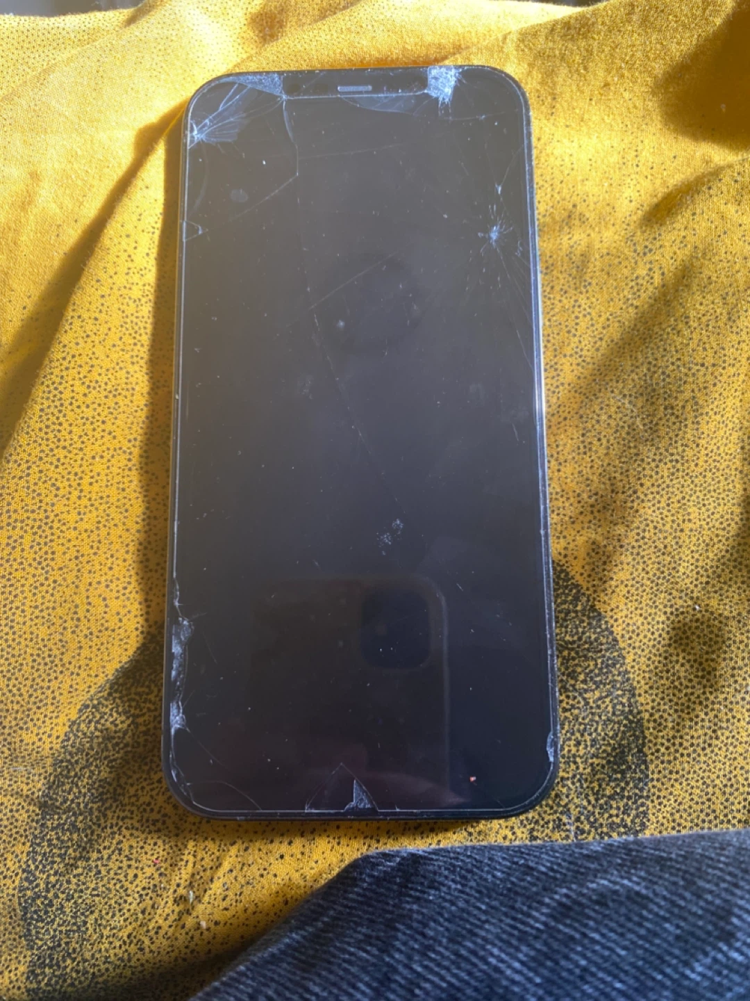 iPhone 12 Pro Max - photo 2
