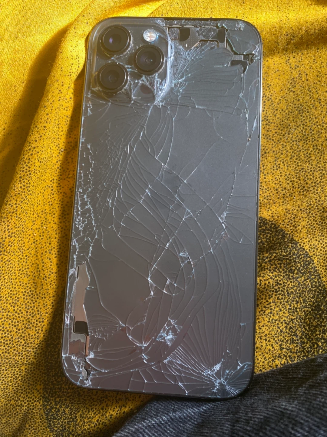 iPhone 12 Pro Max