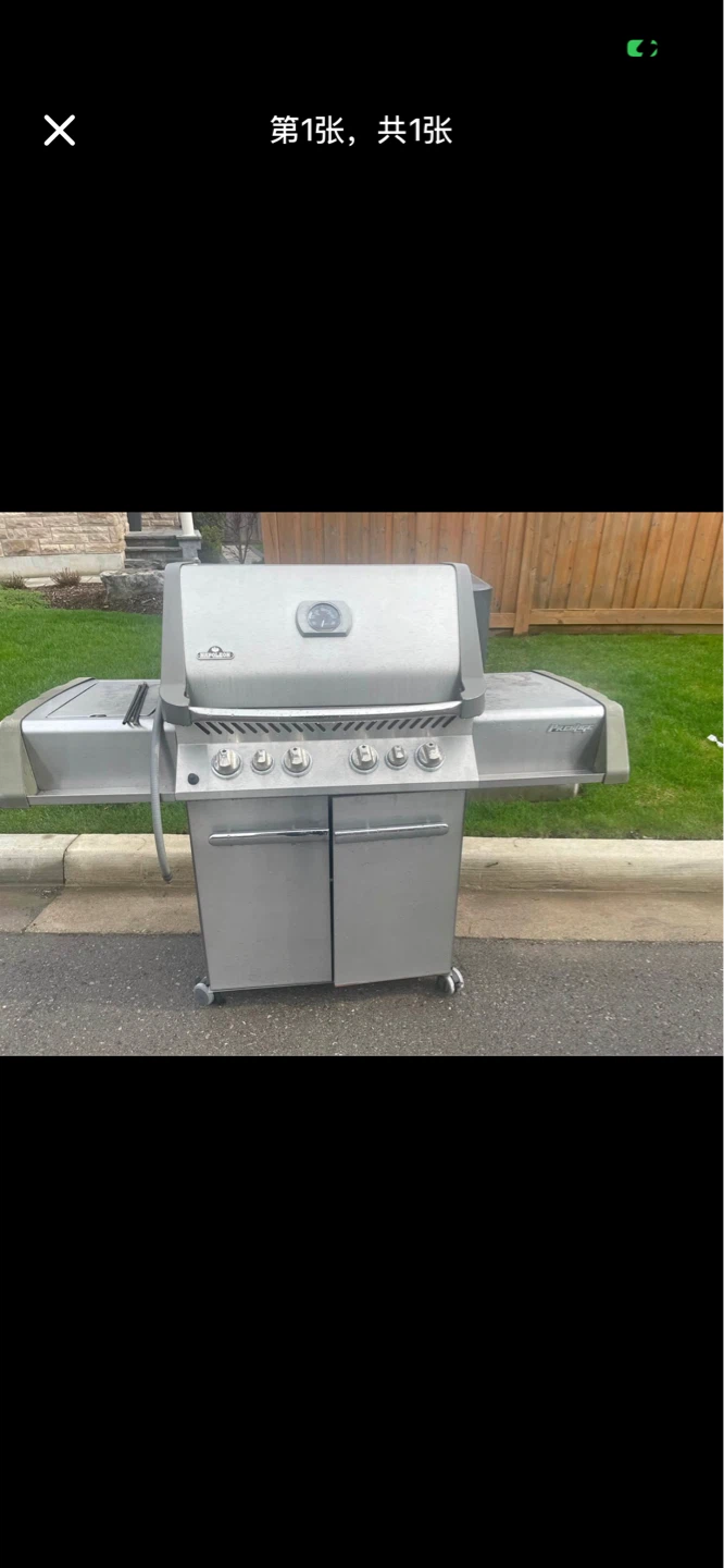 Napoleon Prestige Gas Grill
