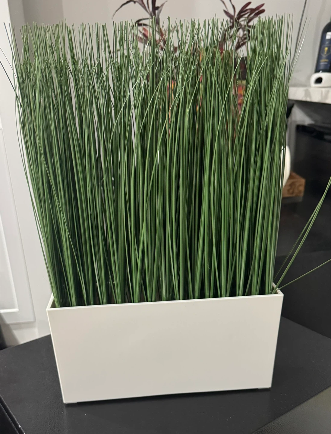 Artificial Grass Plant in White Pot
