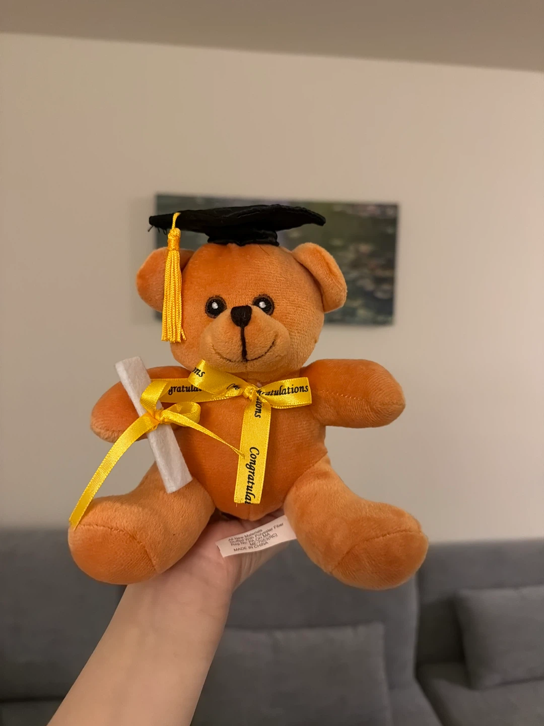Orange Graduation Teddy Bear with Diploma