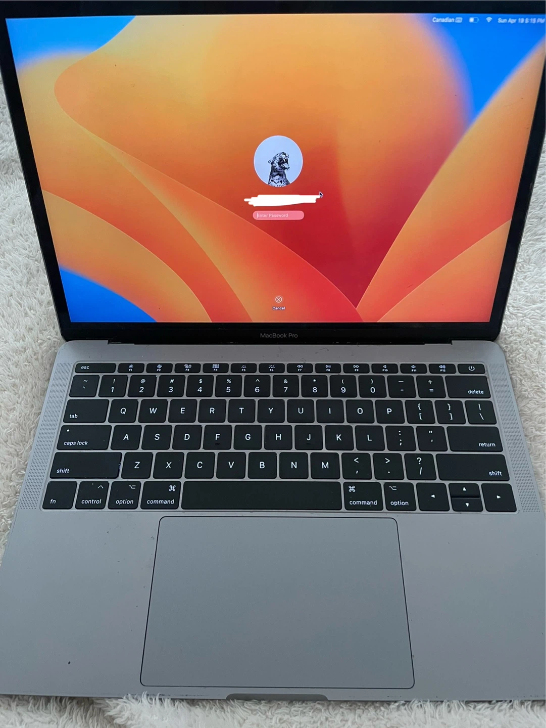Apple MacBook Pro 13-inch 2017