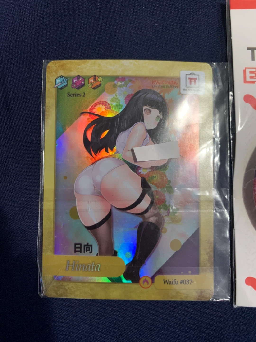 The Otaku Box Attack on Titan Historia Pin & Hinata Waifu #037 - photo 2