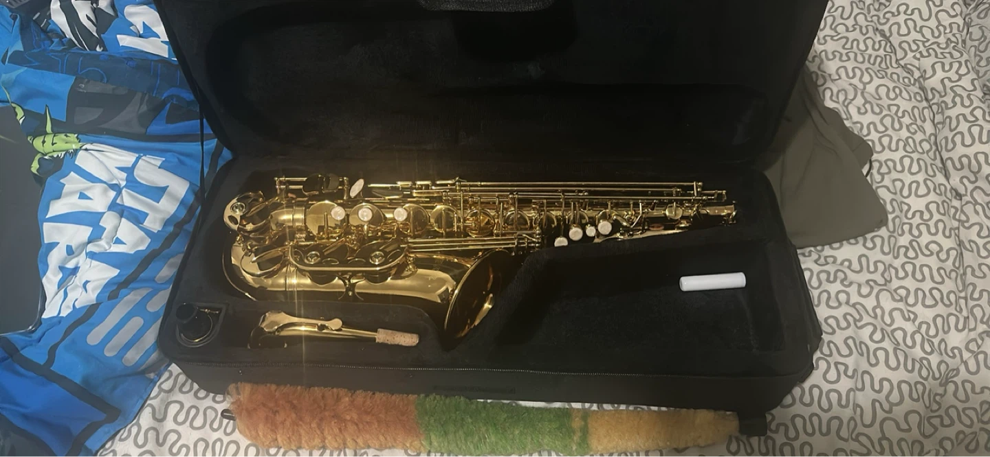 Vevor Alto Saxophone with Case