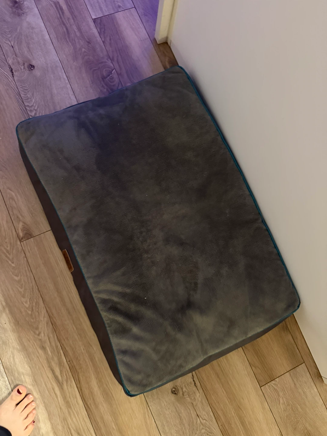 Grey Plush Dog Bed - photo 2
