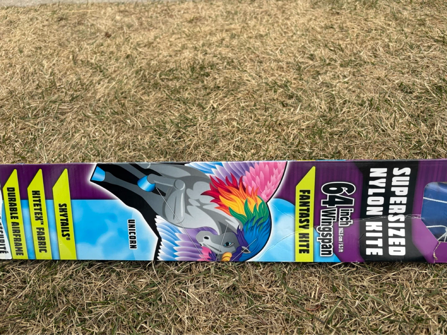 Supersized Nylon Kites - 64" Fantasy & 76" 3-D - photo 3
