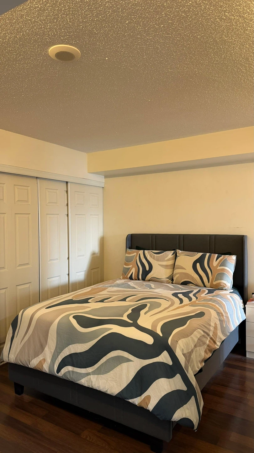 Queen size Bedframe & Mattress