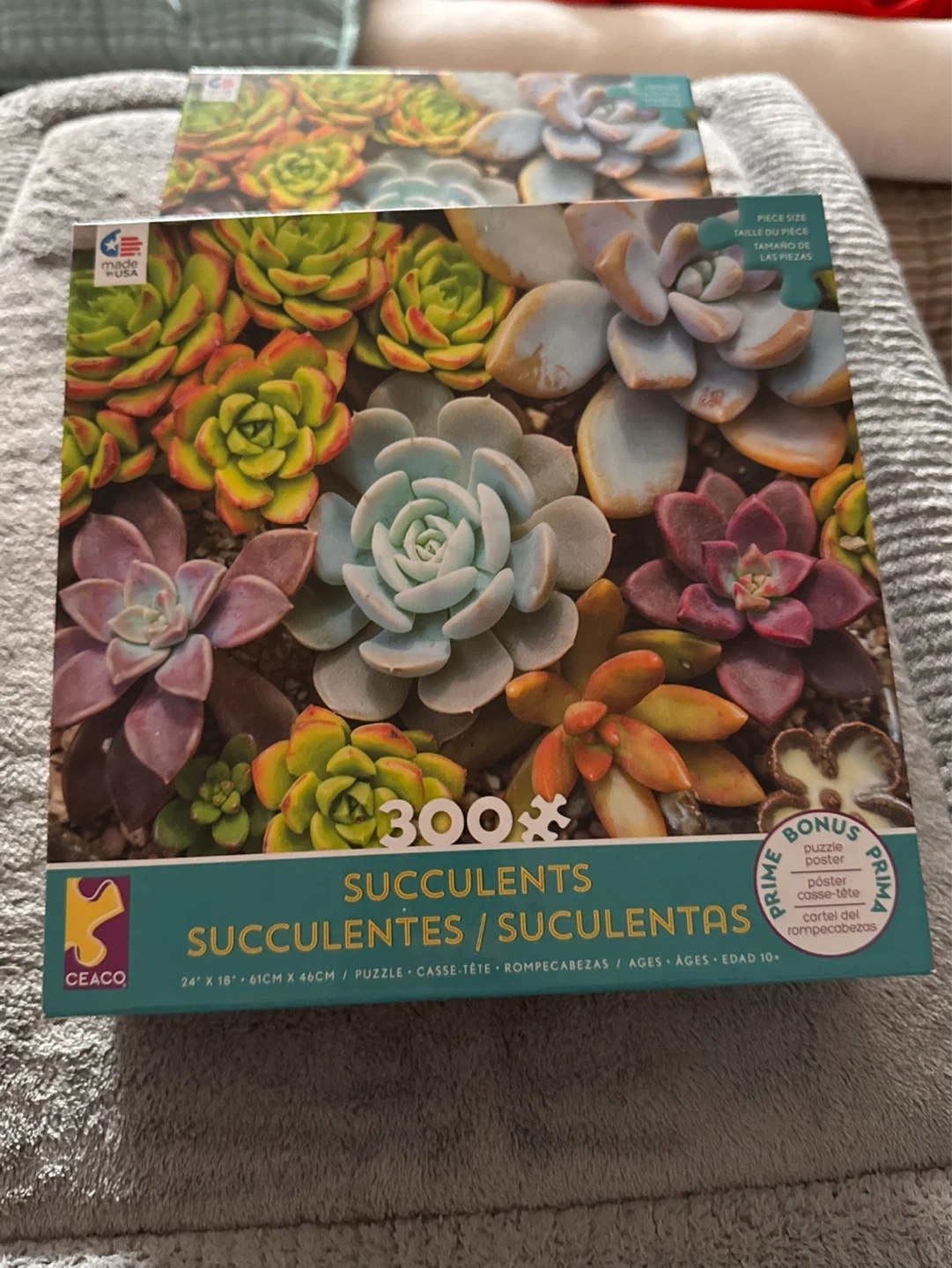 Brand New Puzzle. CEACO Succulents 300 Piece Jigsaw Puzzle
