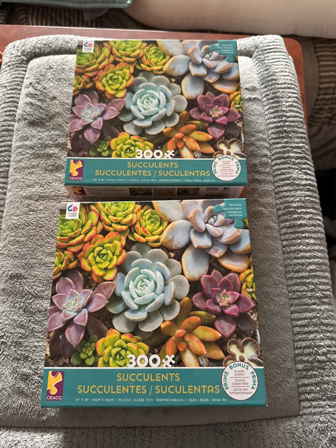 Brand New Puzzle. CEACO Succulents 300 Piece Jigsaw Puzzle - photo 2