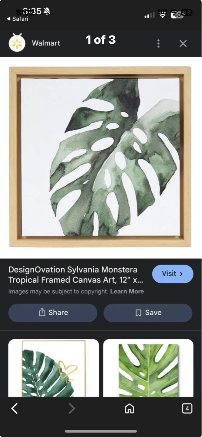DesignOvation Sylvania Monstera Tropical Framed Canvas Art