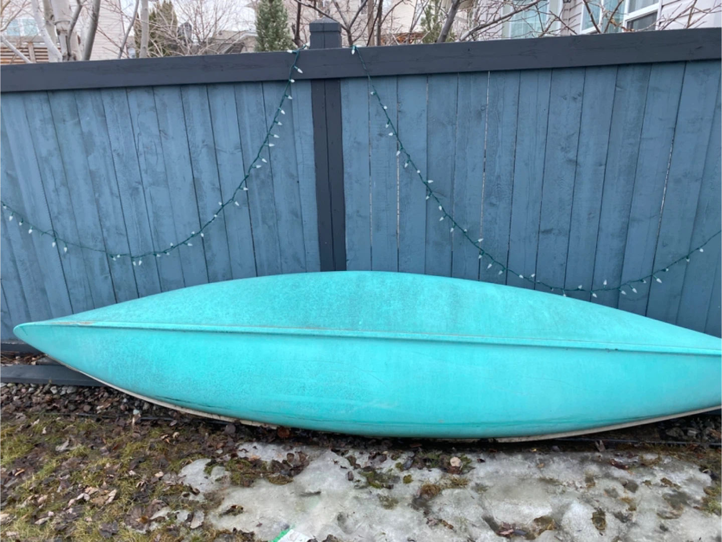 Canoe with Paddles