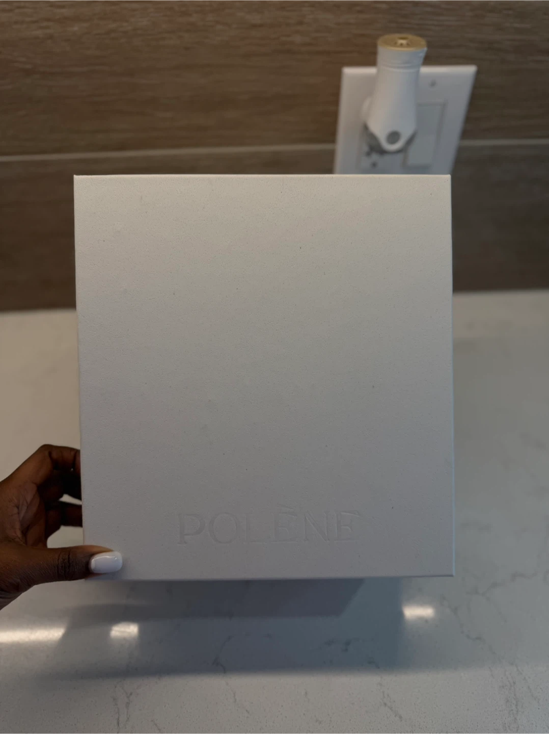 Polène Black Leather Bag