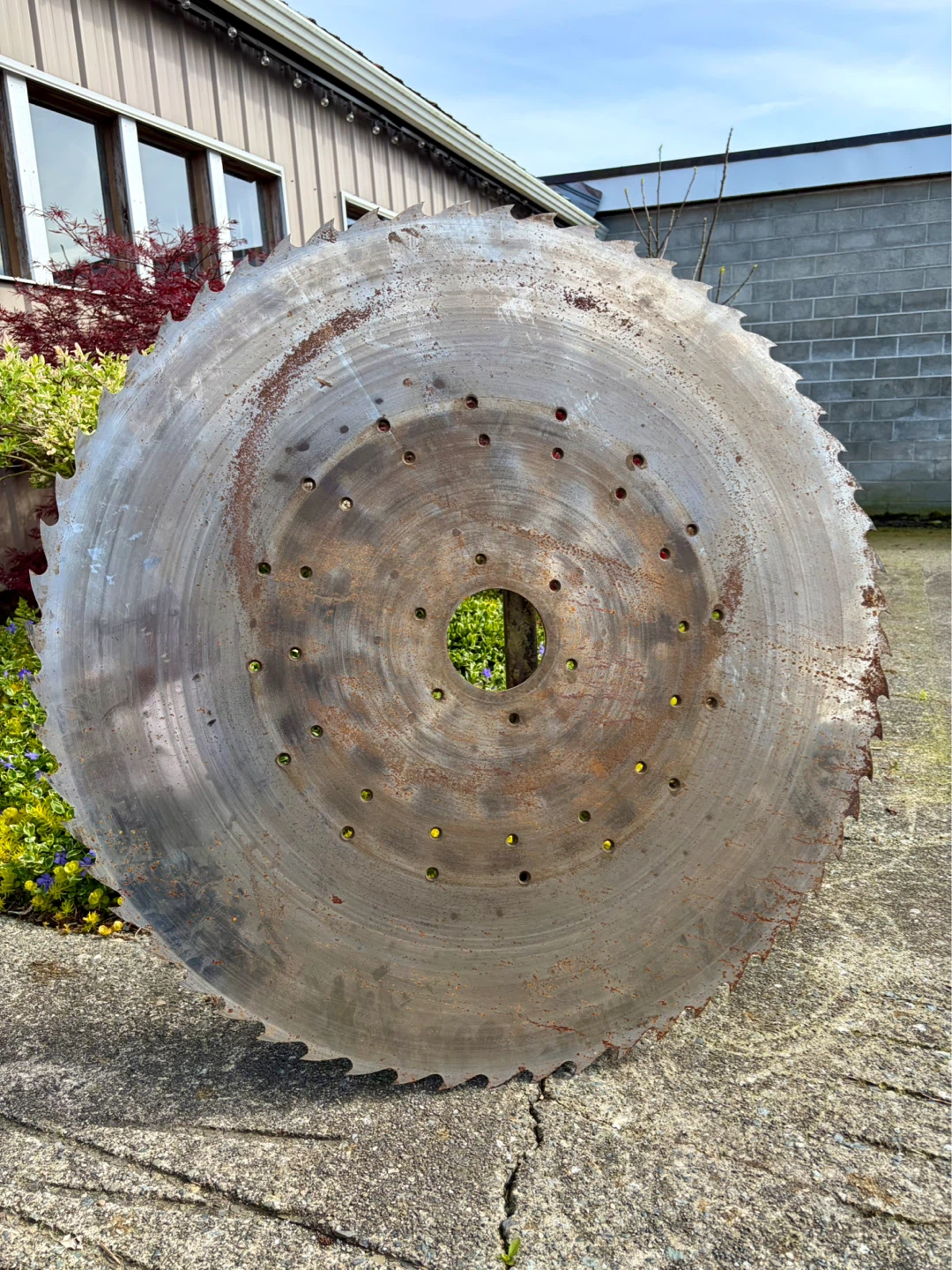 Large Industrial Saw Blade 42”