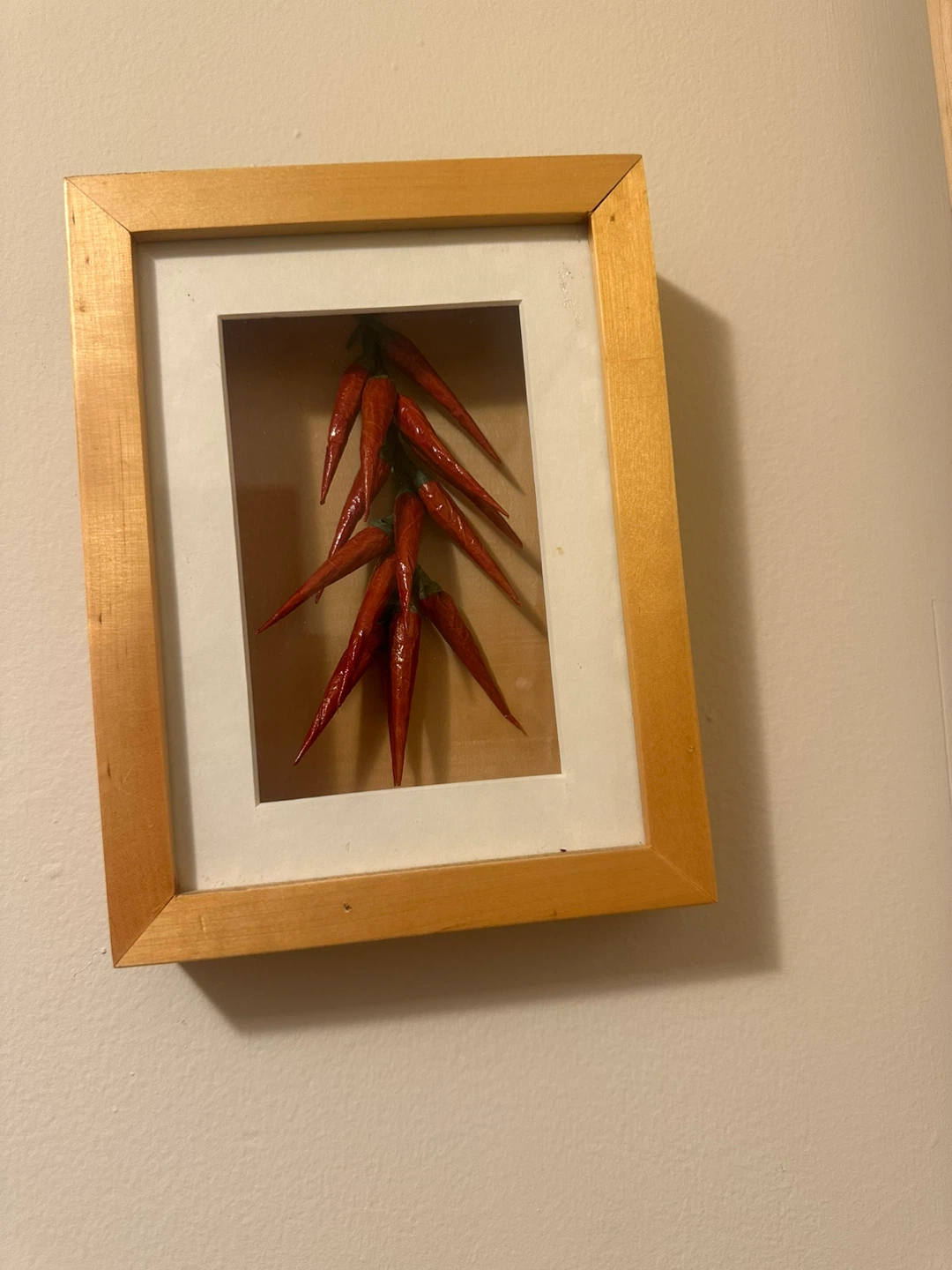 Framed Dried Chili Peppers( 2)