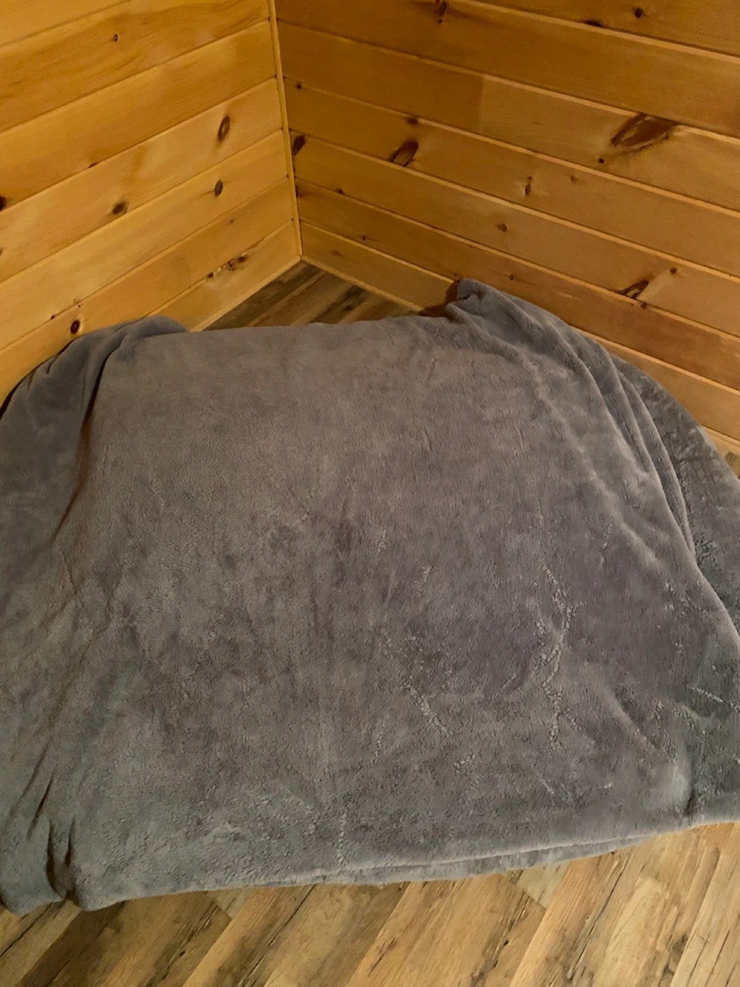 Gray human bed