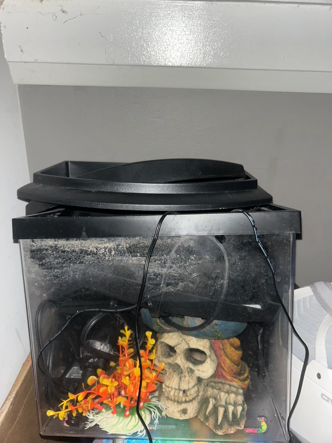 Used fish tank with decoration