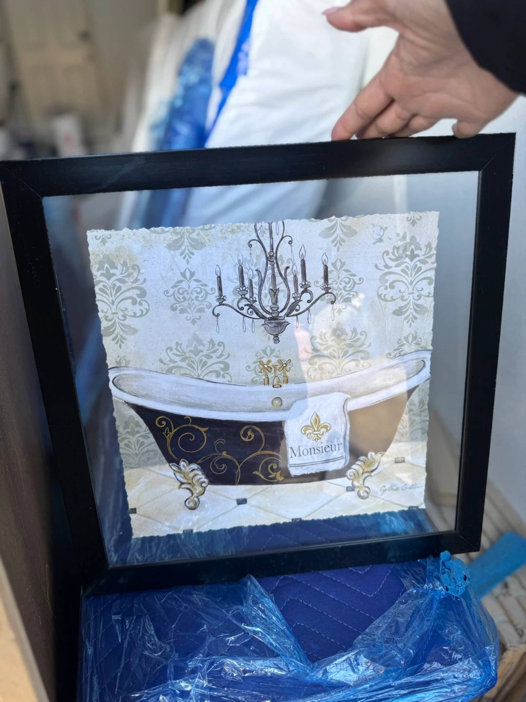 Framed Bathtub Artwork