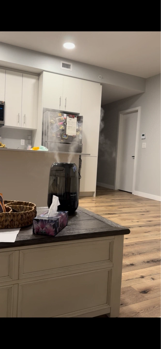 Honeywell Humidifier