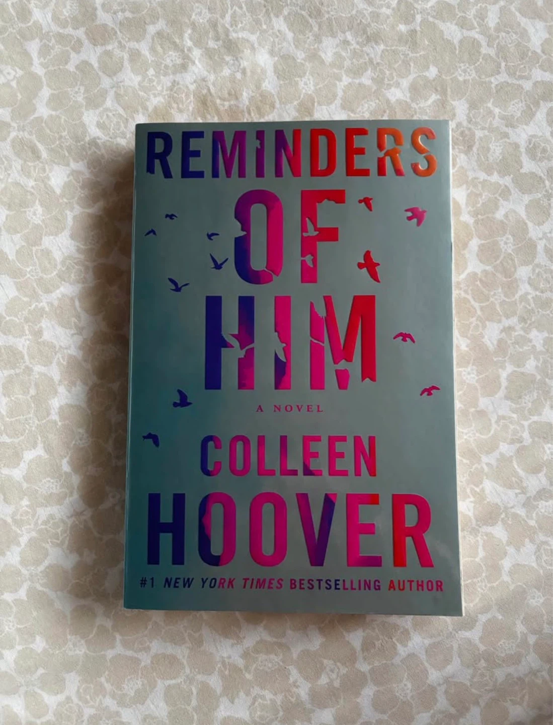 Reminders of Him by Colleen Hoover Novel
