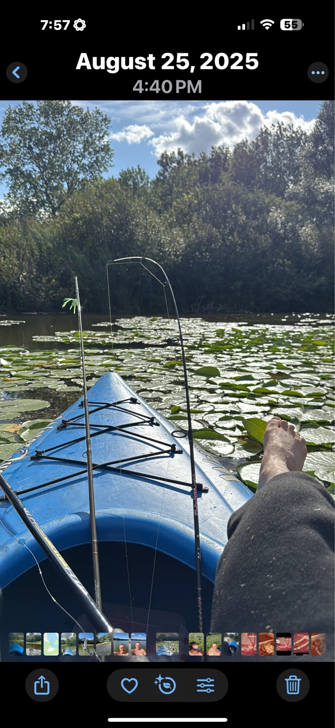 2 waterfront lots on canal to fox lake