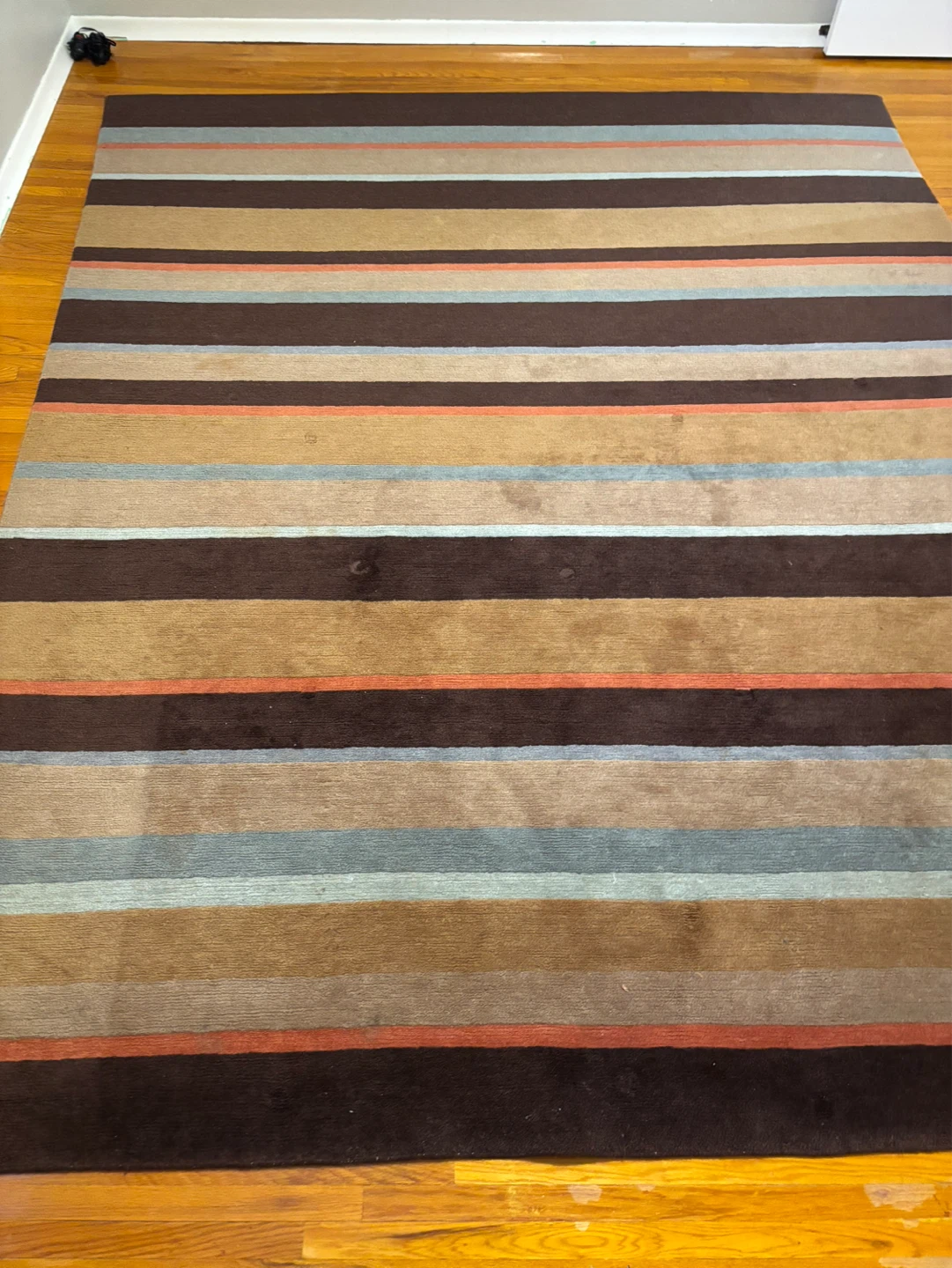 Striped Area Rug