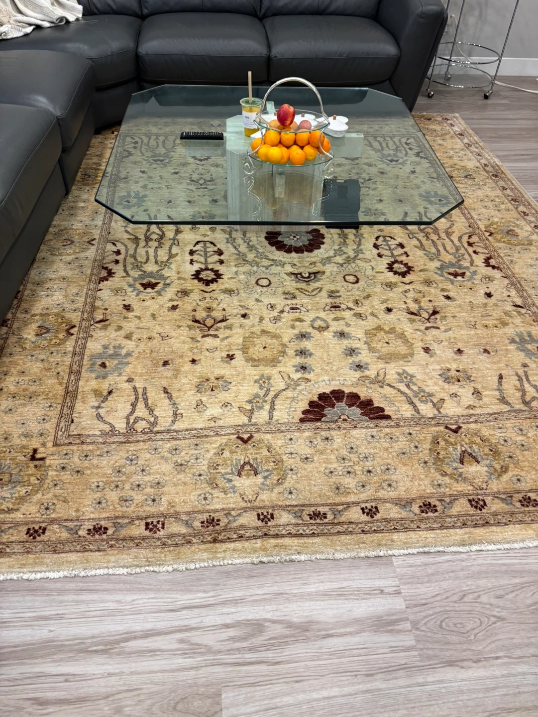 Persian Style Area Rug