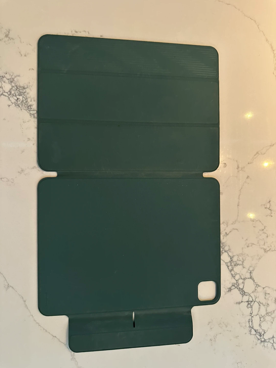 Magnetic Case for 11-inch iPad Pro (M2) - Green - photo 2