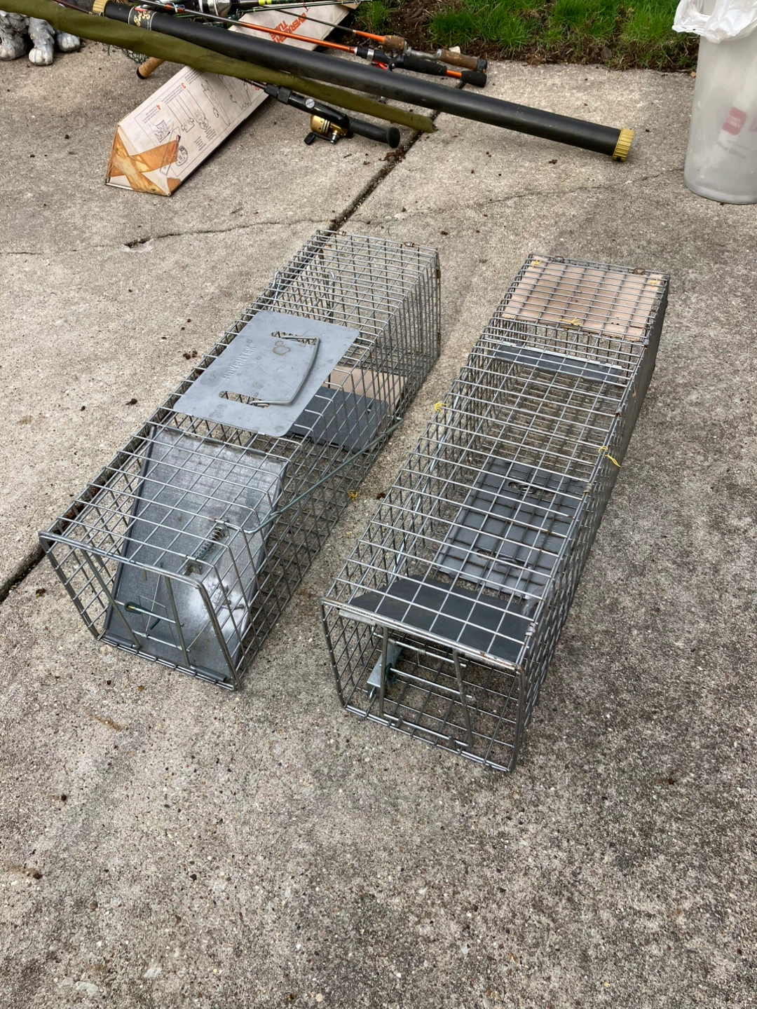 Animal traps