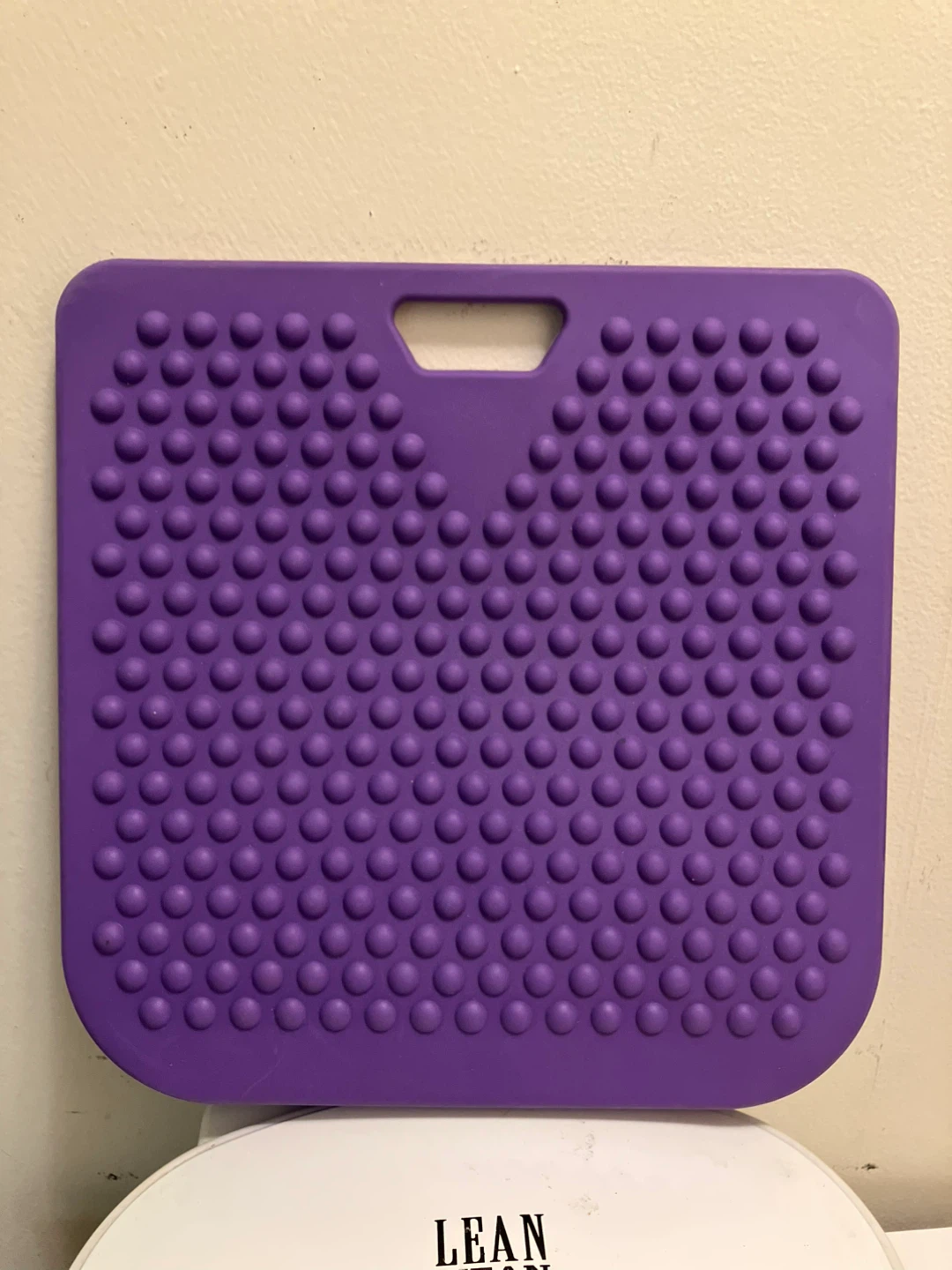 Merrithew Purple Balance Board