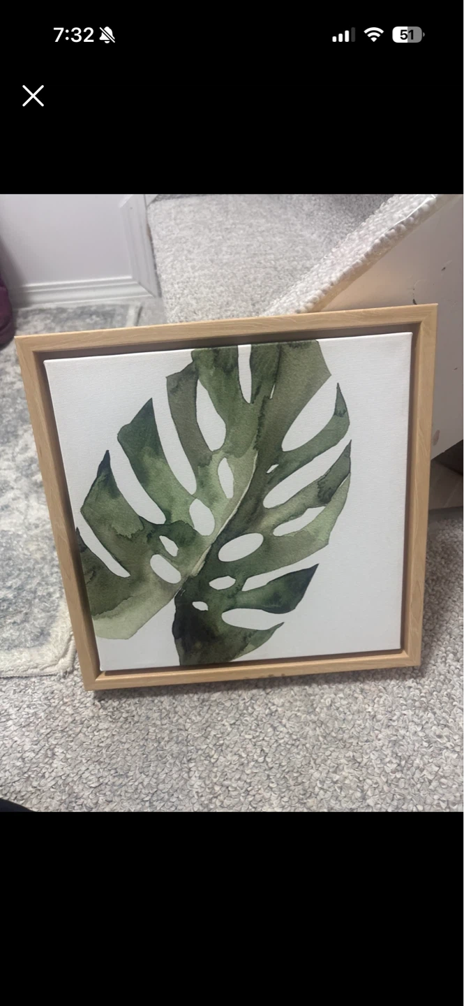 Monstera Leaf Framed Canvas Art