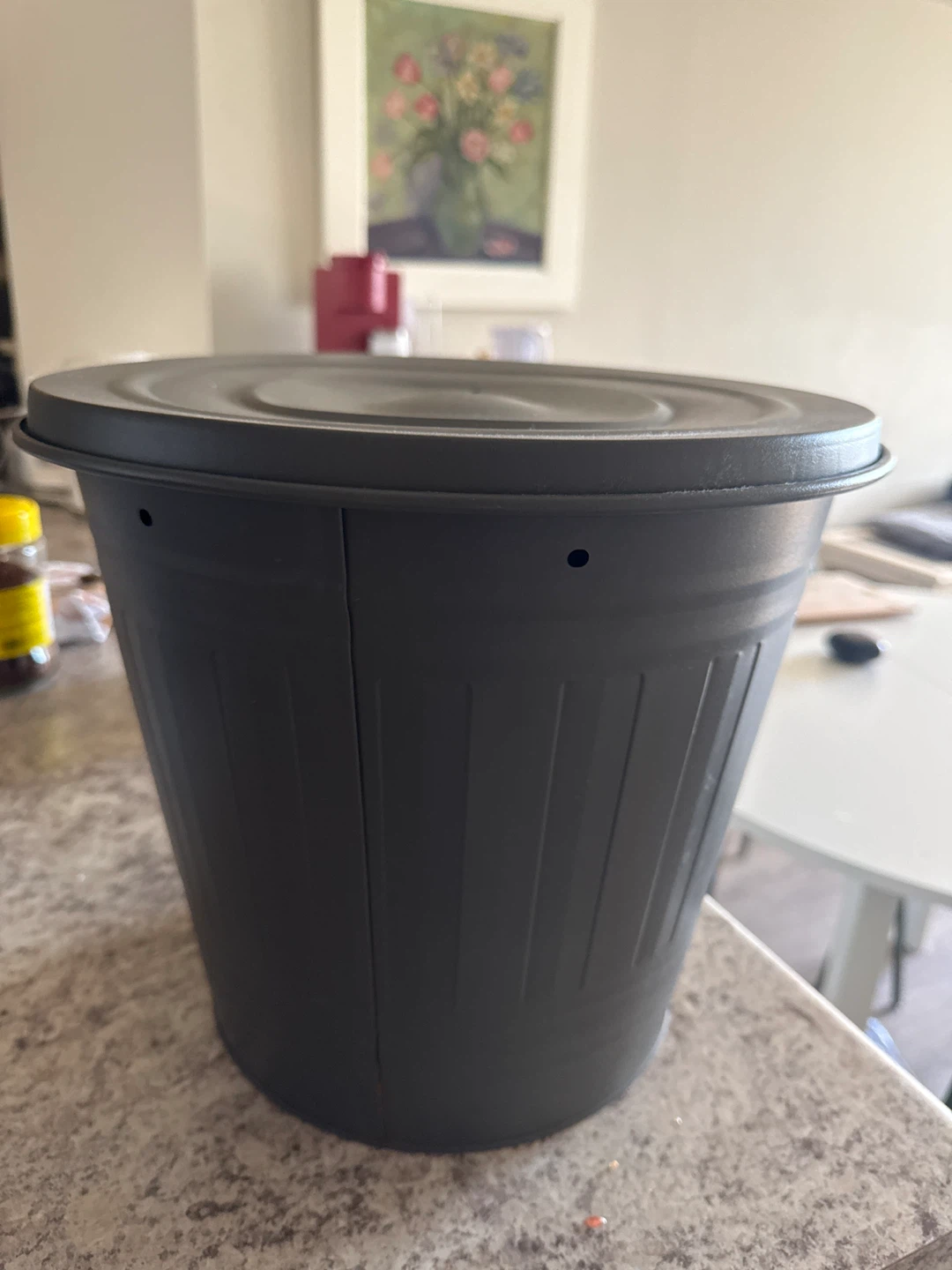 Dark Grey Metal Trash Can with Lid