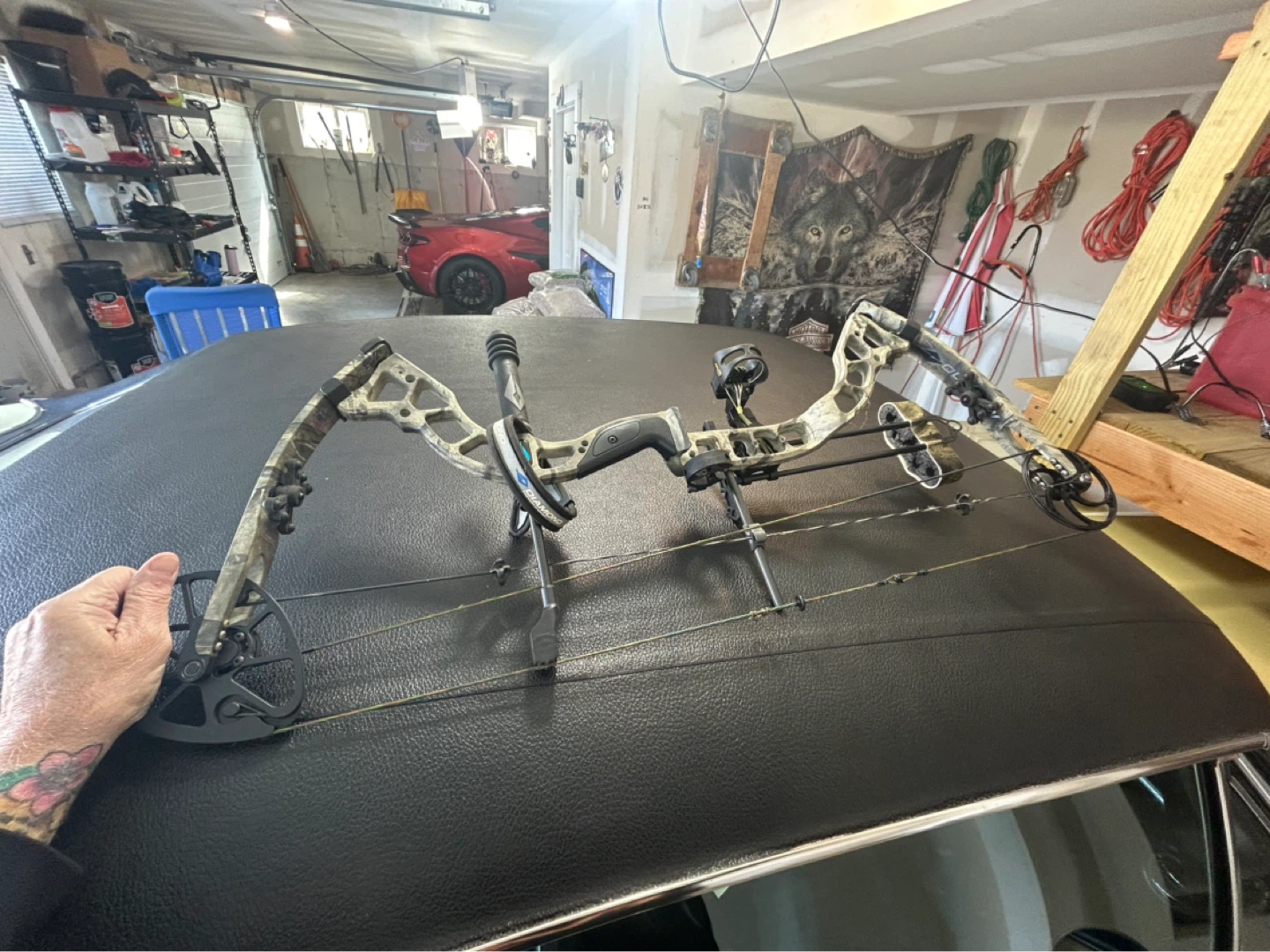 Compound Bow
