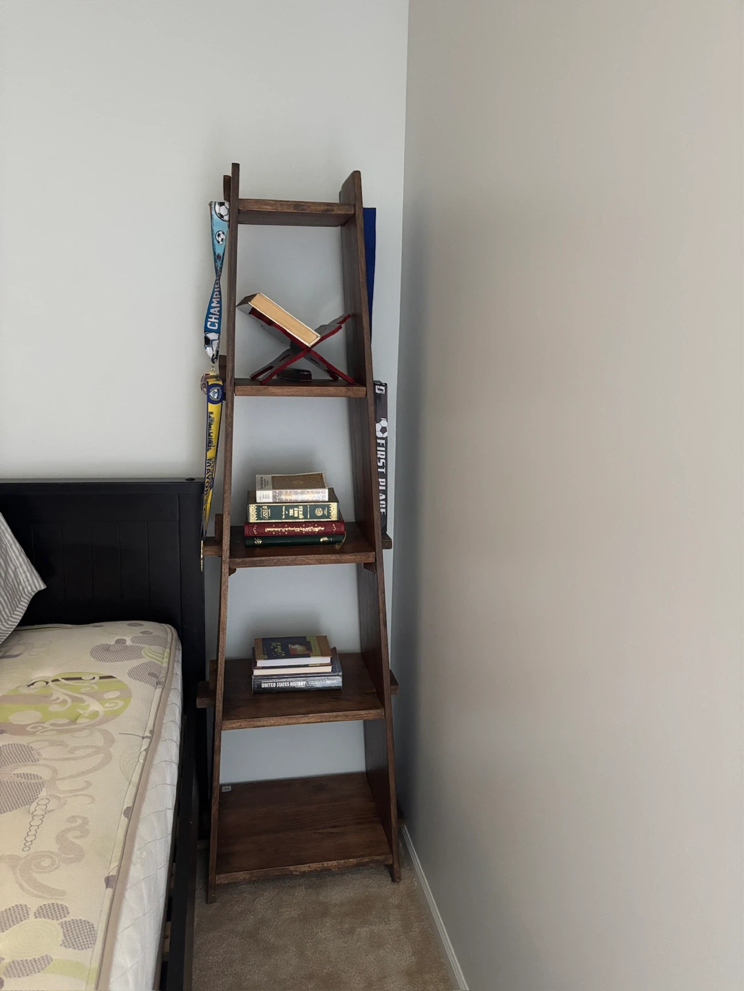 Wooden Ladder Bookshelf