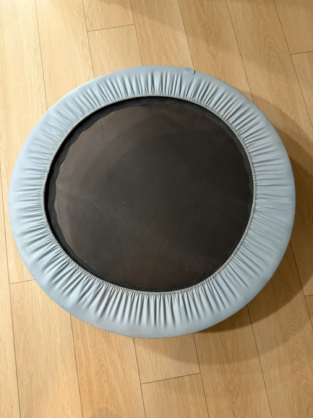 Rebounder/ Mini Trampoline
