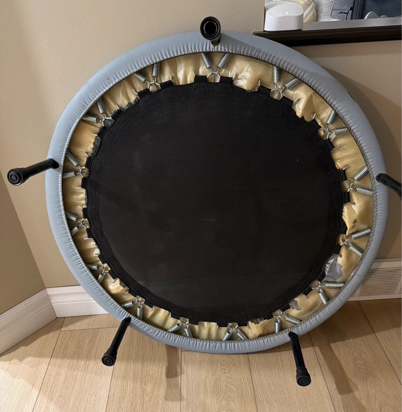 Rebounder/ Mini Trampoline - photo 2